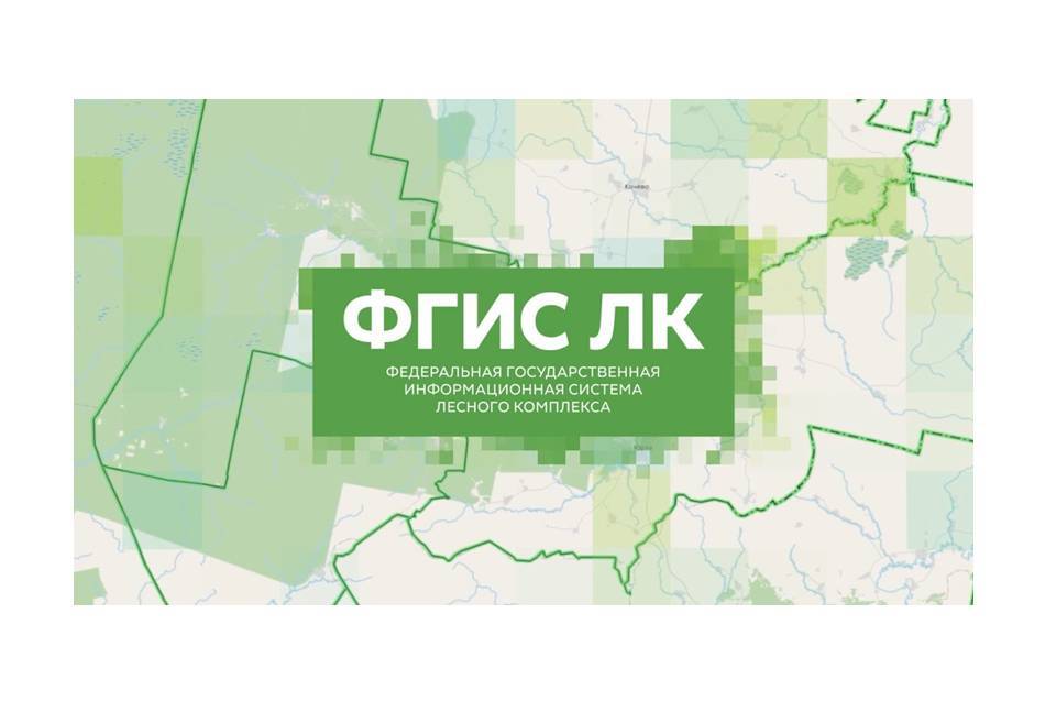 Инструкция по авторизации гражданина в личном кабинете лесопользователя во ФГИС ЛК.