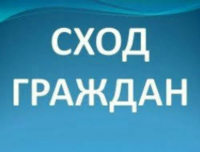 Сходы граждан. Сходы граждан.